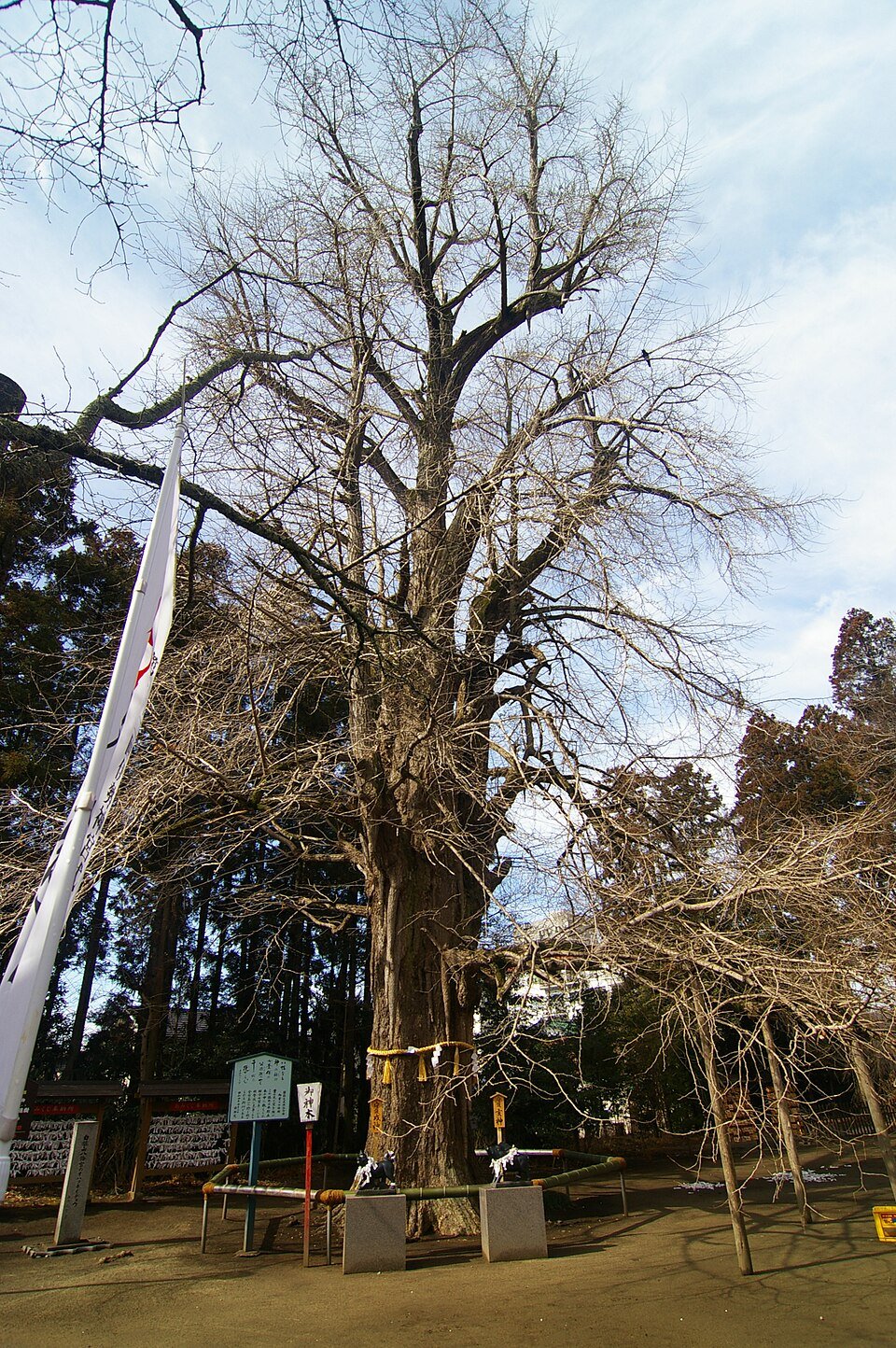 ⛩️ 미토 하치만구 신사(미토 하치만구)